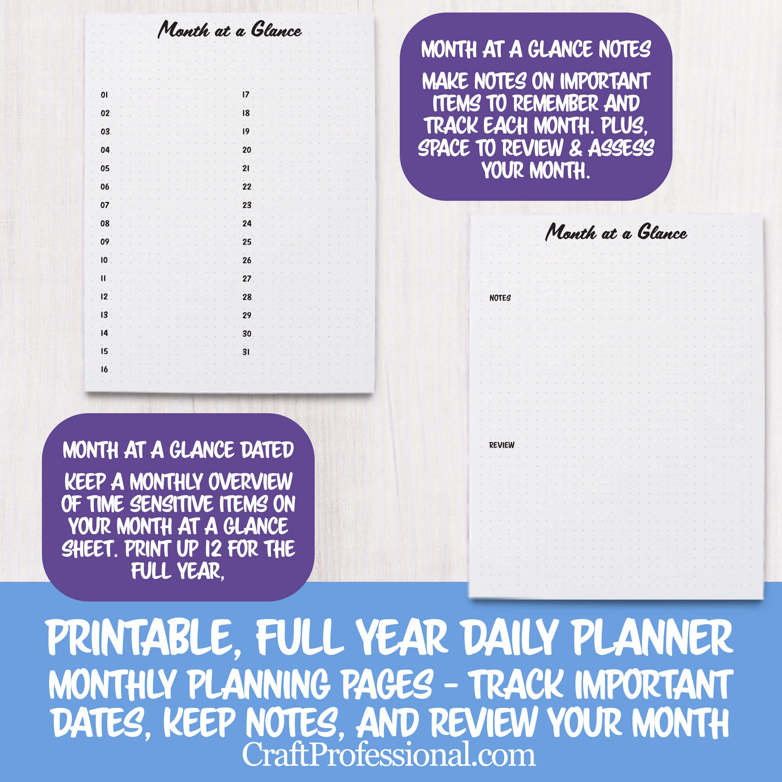 professional daily planner