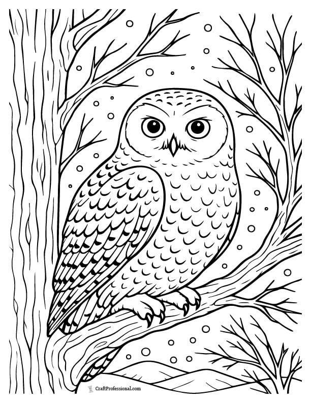 Snowy owl in a tree coloring page