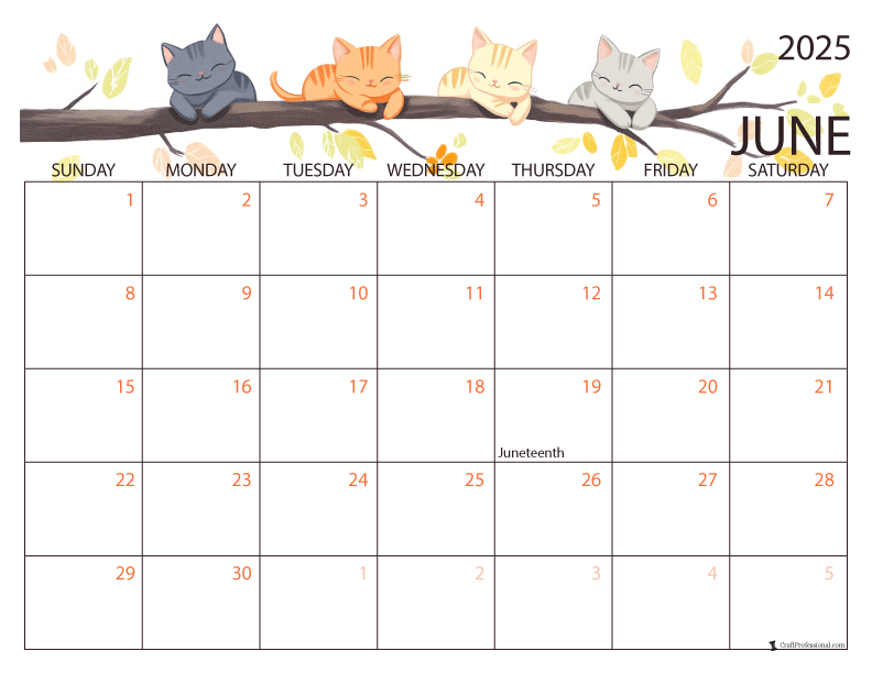 June 2025 printable calendar summer cats design