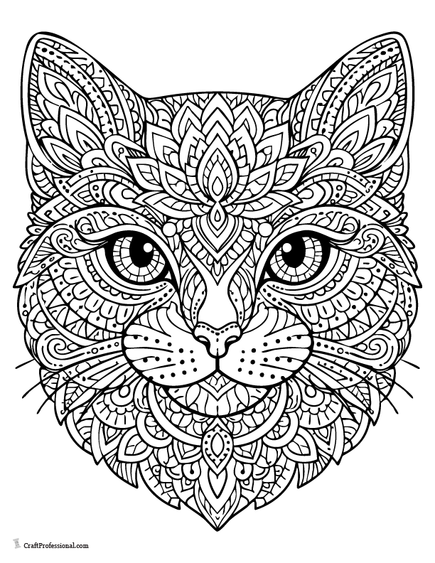 Mandala cat face coloring page, detailed printable cat coloring sheet