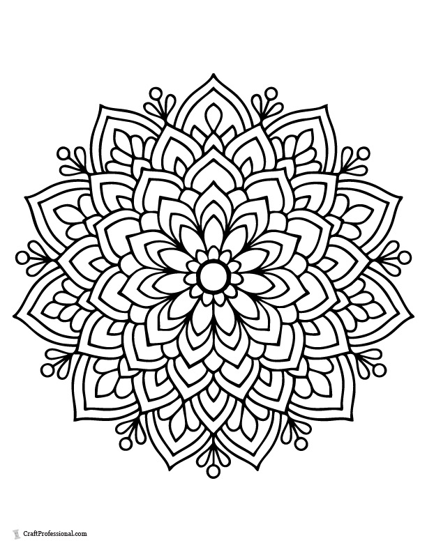 Classic floral mandala coloring page with symmetrical flower pattern.