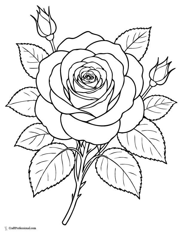 Classic full bloom rose coloring page with layered petals.