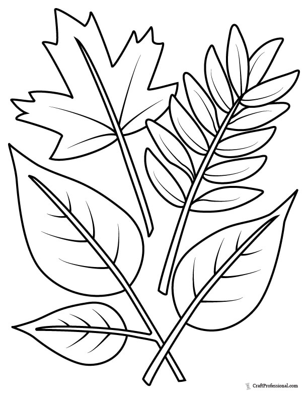 Five autumn leaves to color