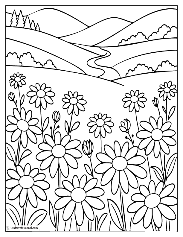 Daisy field landscape coloring page with flowers across meadow.