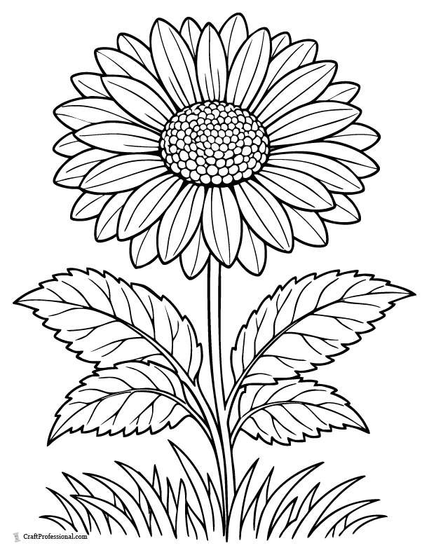 Detailed daisy coloring page with layered petals and textured center.