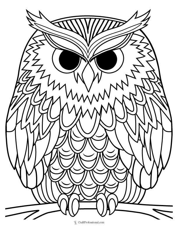 Detailed owl perched on a branch coloring page