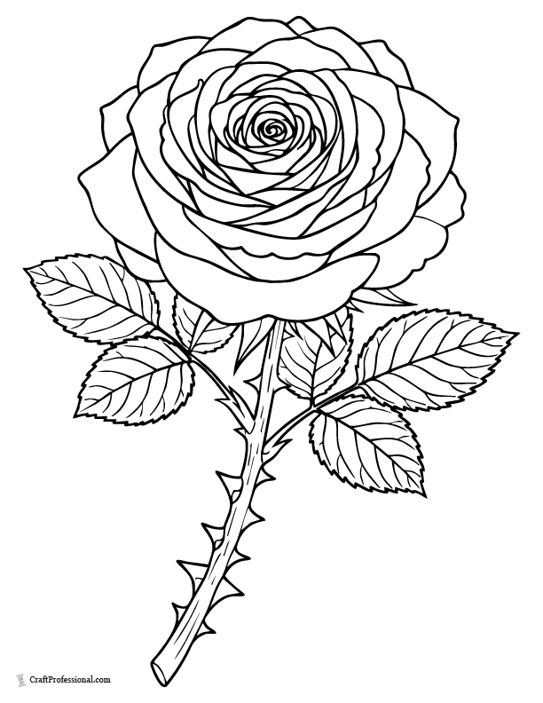 Detailed rose coloring page with layered petals and textured leaves.