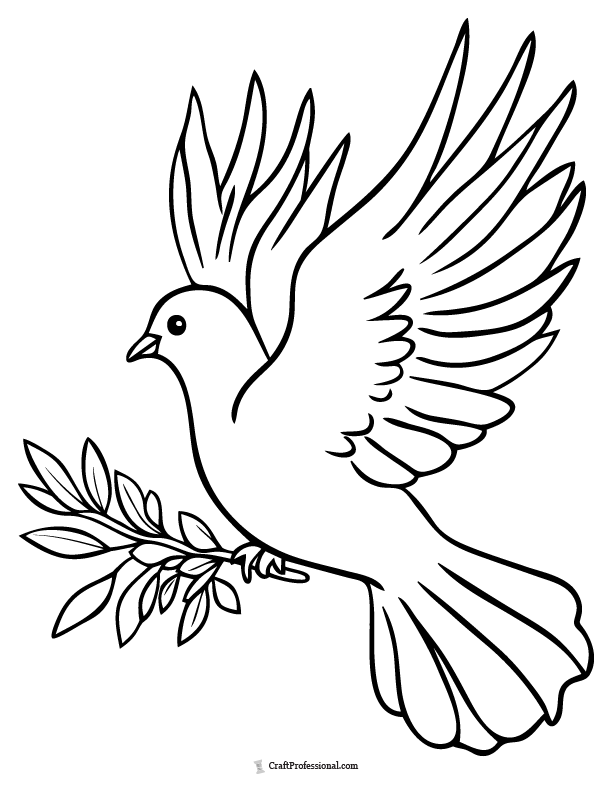 Peace dove with olive branch coloring page
