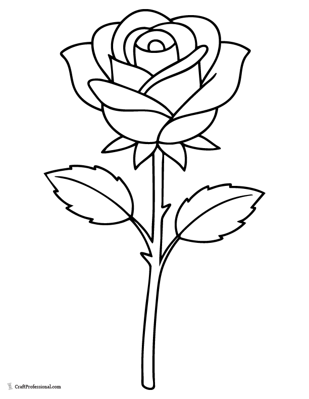Easy rose outline coloring page for kids.