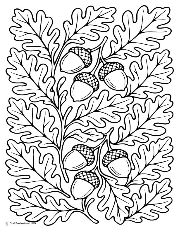 Detailed fall acorns and leaves coloring page