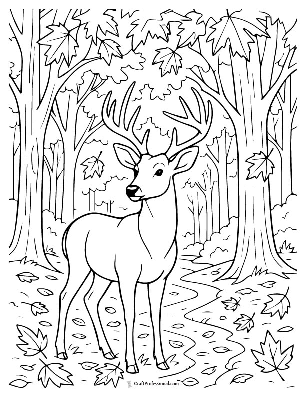 Deer among fallen leaves and trees in the forest coloring sheet