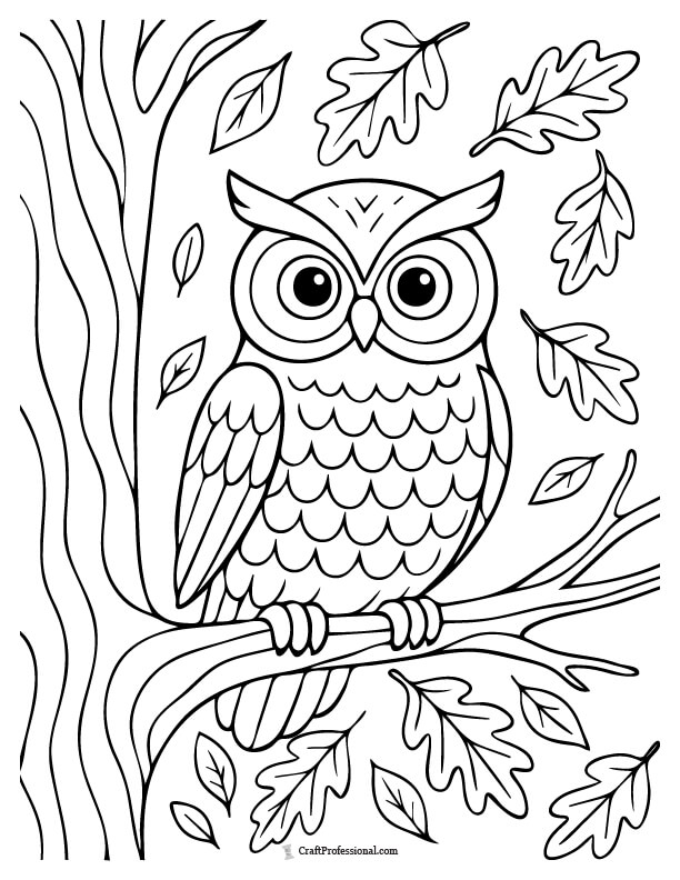 Owl perched on a tree branch amid falling leaves coloring page