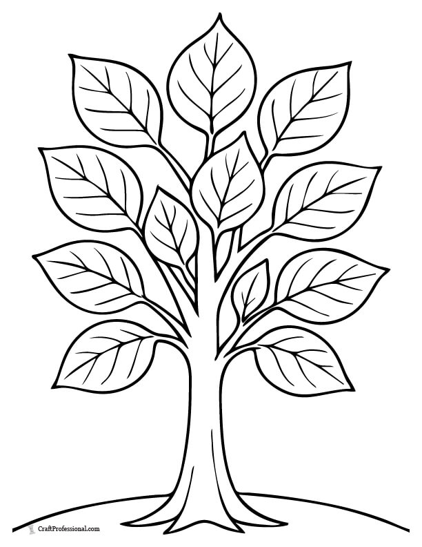 Tree with large leaves coloring page for preschoolers