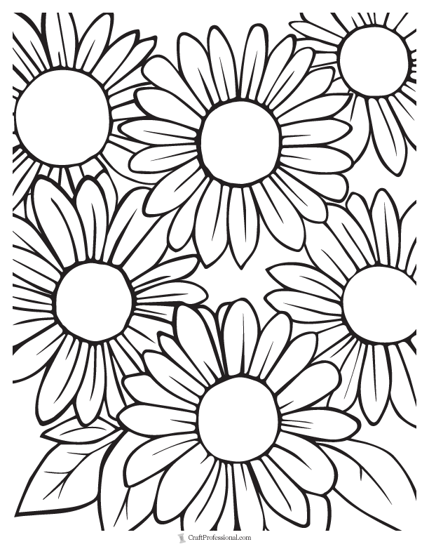 field of sunflowers coloring sheet to adults