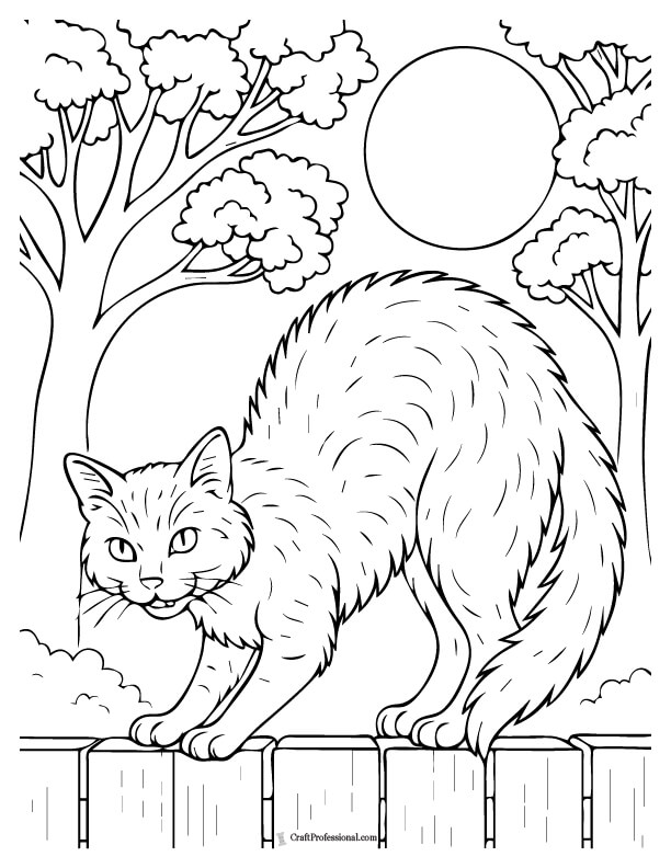 Coloring page of a black cat with an arched back standing on a wooden fence, with a spooky night sky coloring page.