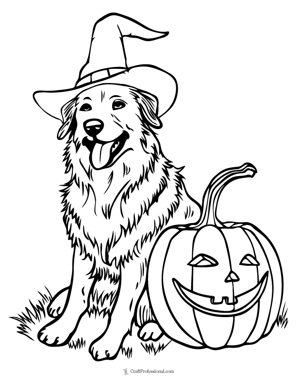 Coloring page featuring a dog wearing witch's hat beside a jock-o-lantern.