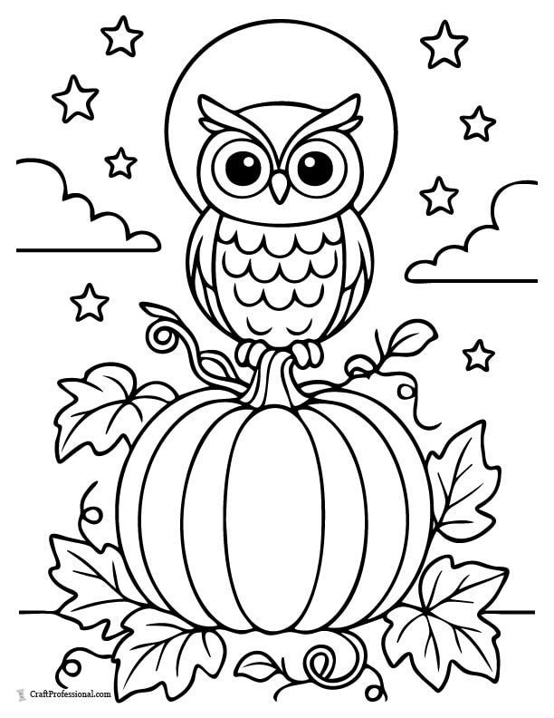Owl perched on top of a pumpkin under a full moon  coloring page