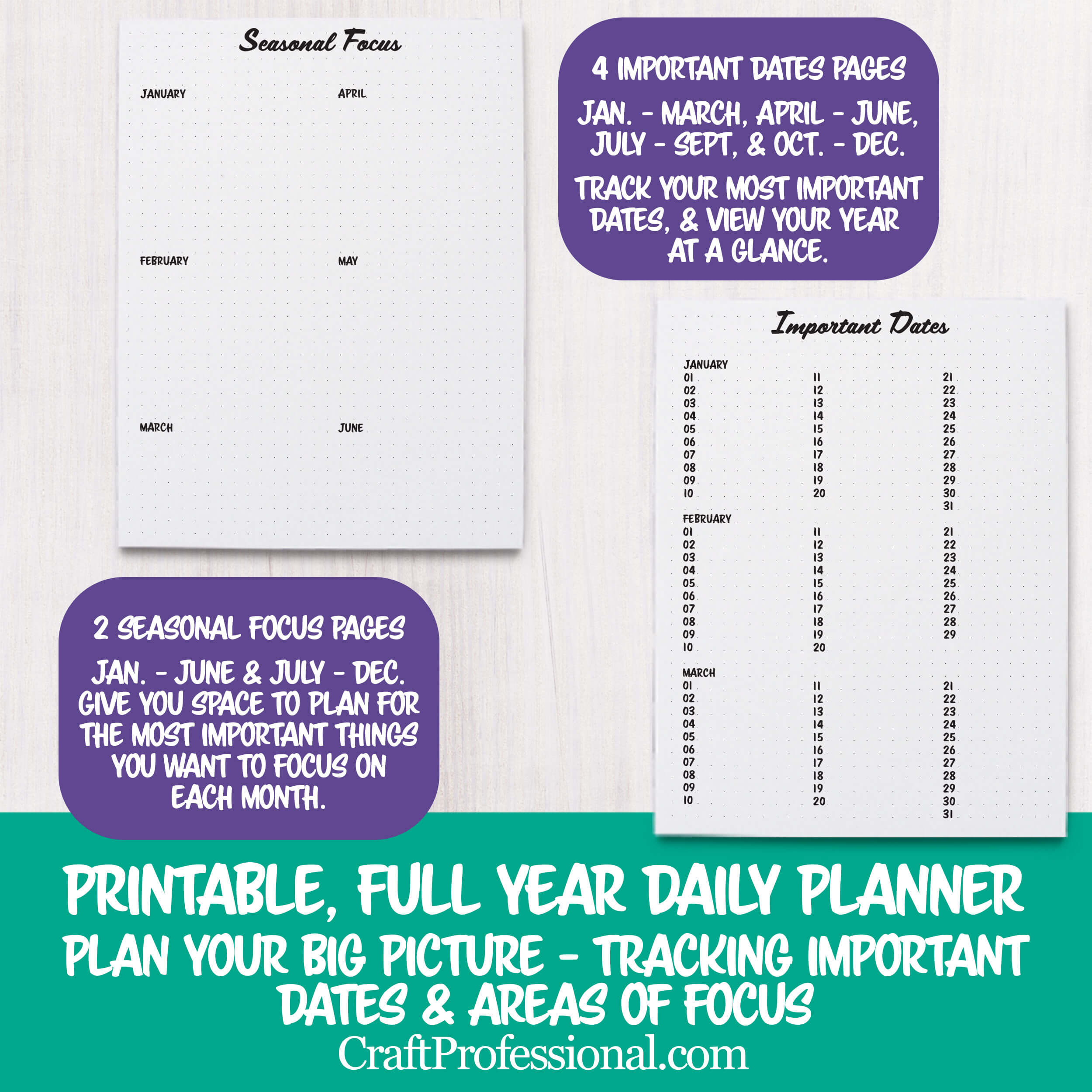 professional daily planner