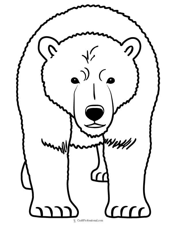 Polar bear coloring sheet