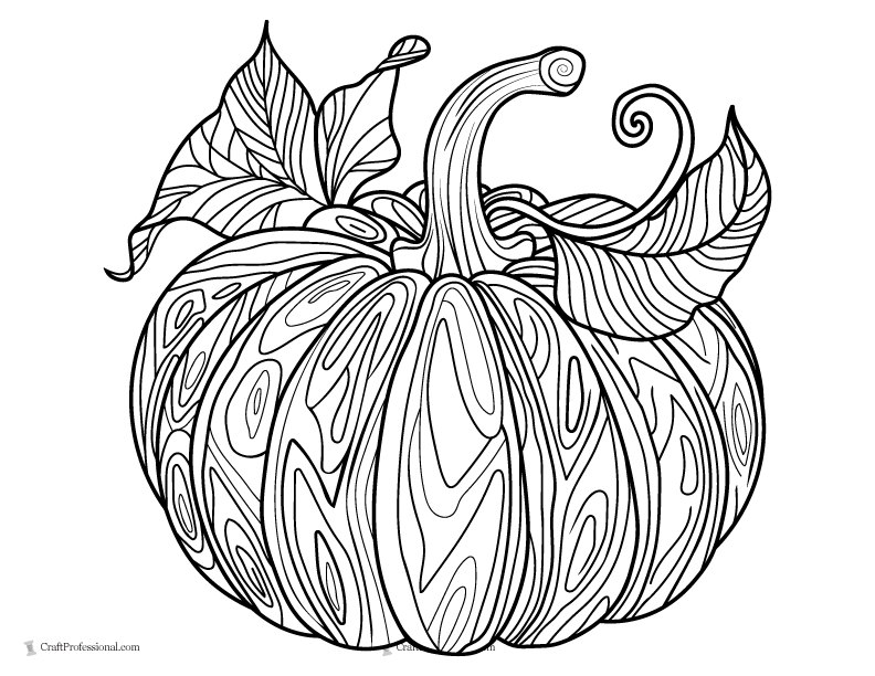 Pumpkin with detailed pattern to color