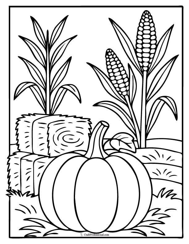 Pumpkin in a field with corn stalks and hay bales coloring sheet