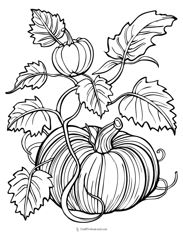 Pumpkin with vines and leaves coloring page