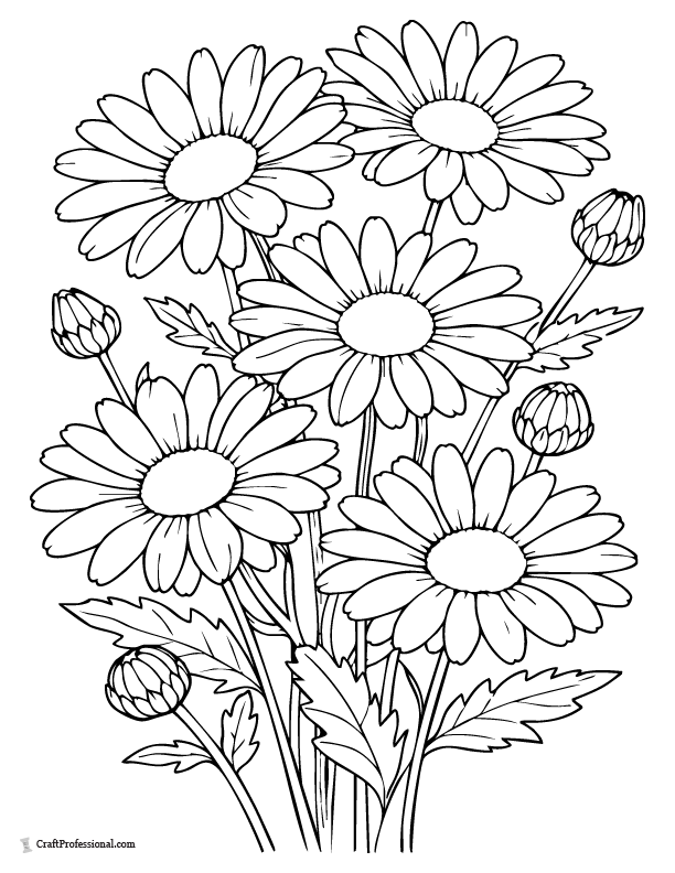 Realistic daisy coloring page with detailed petals and center.