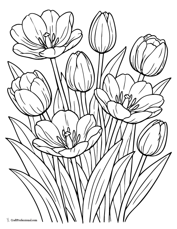 Realistic tulip coloring page showing open and closed tulip flowers.