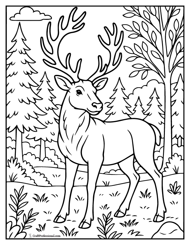 Reindeer in a woodland clearing, coloring page.