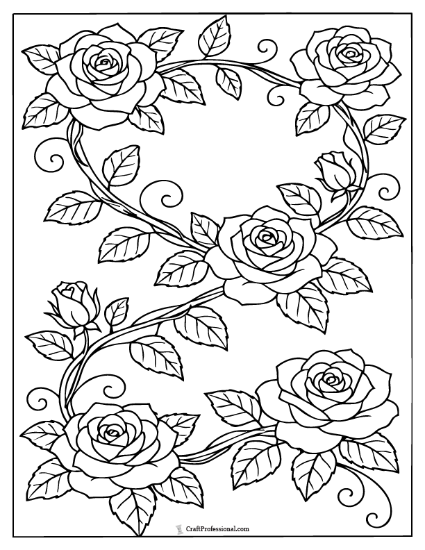 Rose vine coloring page with multiple blooms.