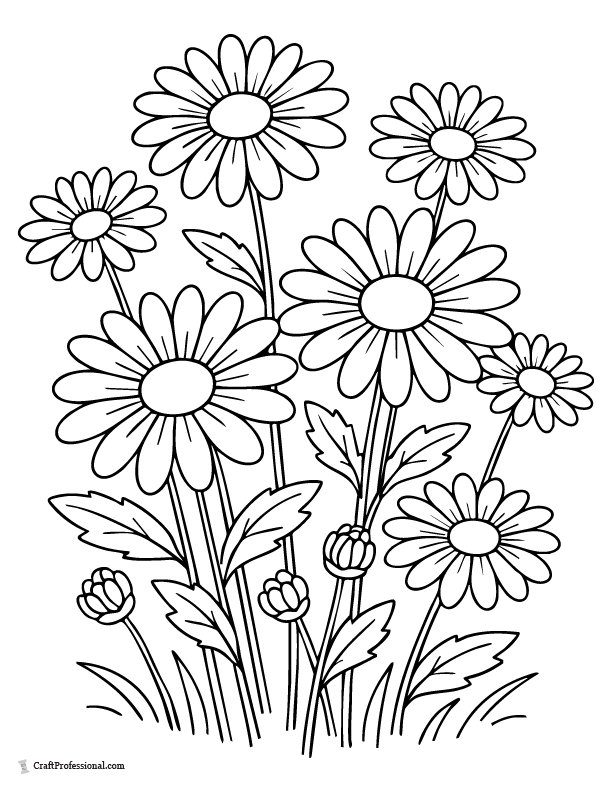 Simple classic daisy coloring page with rounded petals.