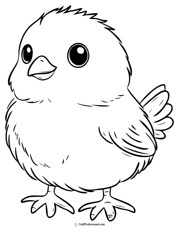 Baby chick easy coloring page