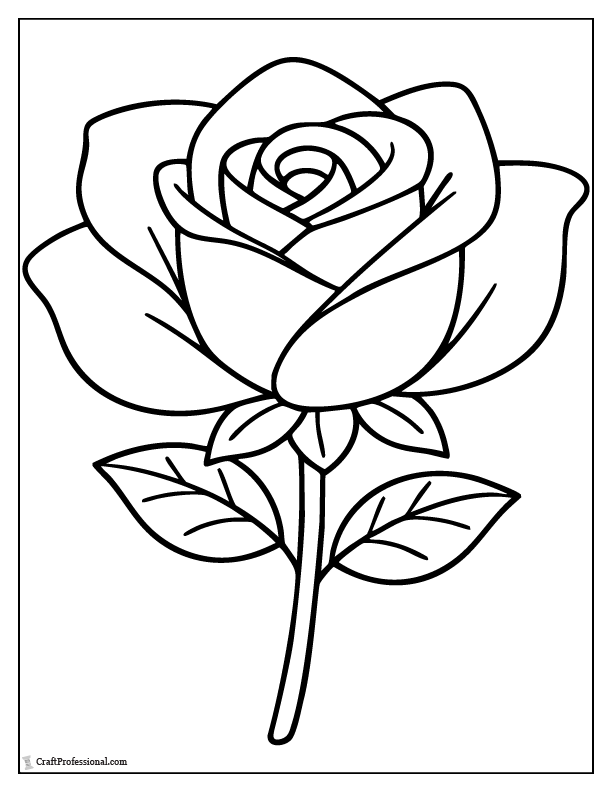 Simple large rose flower coloring page with bold petals and easy outline.