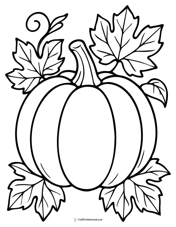 Simple pumpkin with leaves and vines coloring sheet