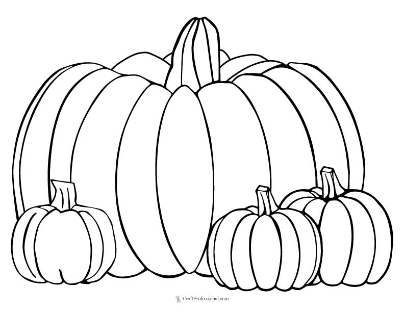 Coloring page with one large pumpkin, and three small pumpkins.