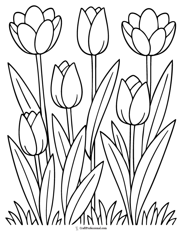 Simple tulip outline coloring page for kids.