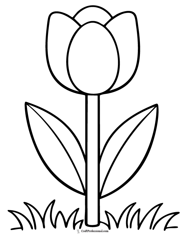 Simple tulip flower coloring page with rounded petals, two leaves, and grass at the bottom.