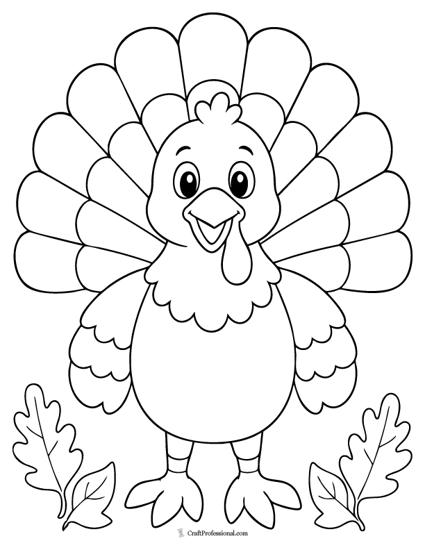 Simple turkey coloring page with tail feathers, body, beak, and feet for kids.