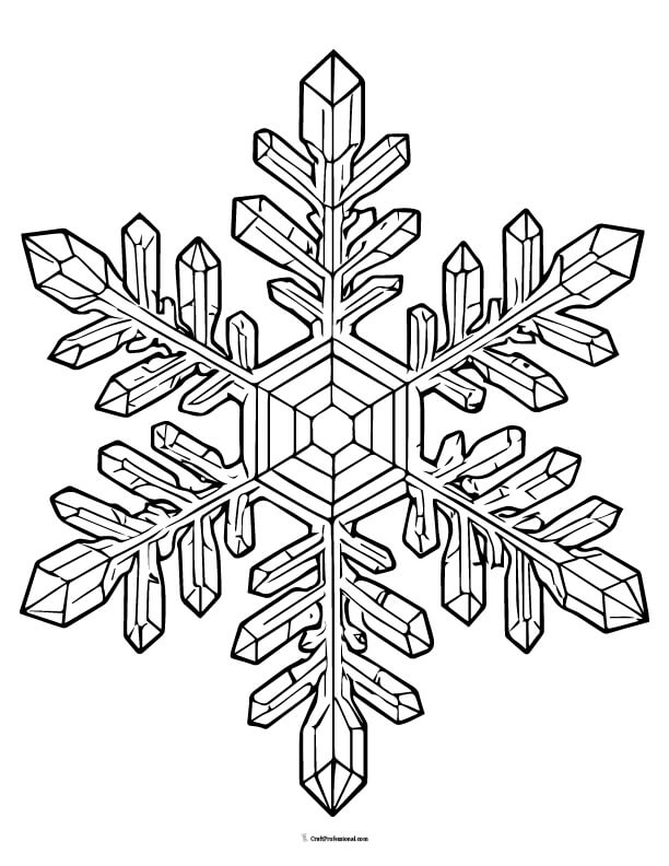 Realistic crystalized snowflake coloring page