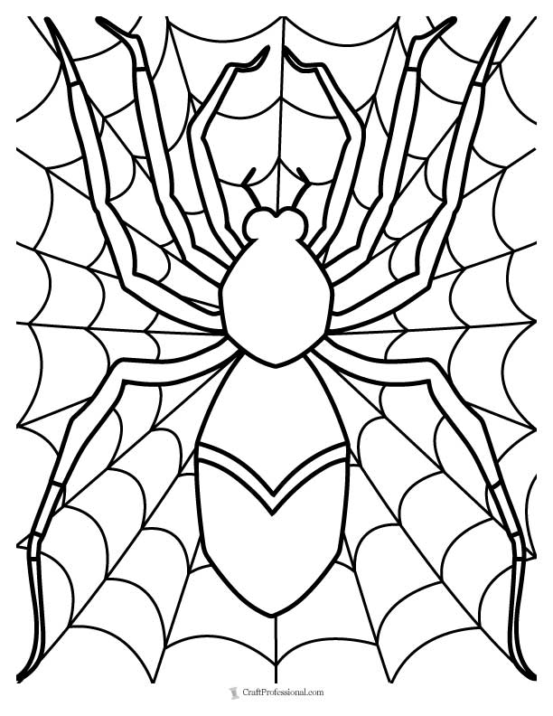 Spider on a web coloring page