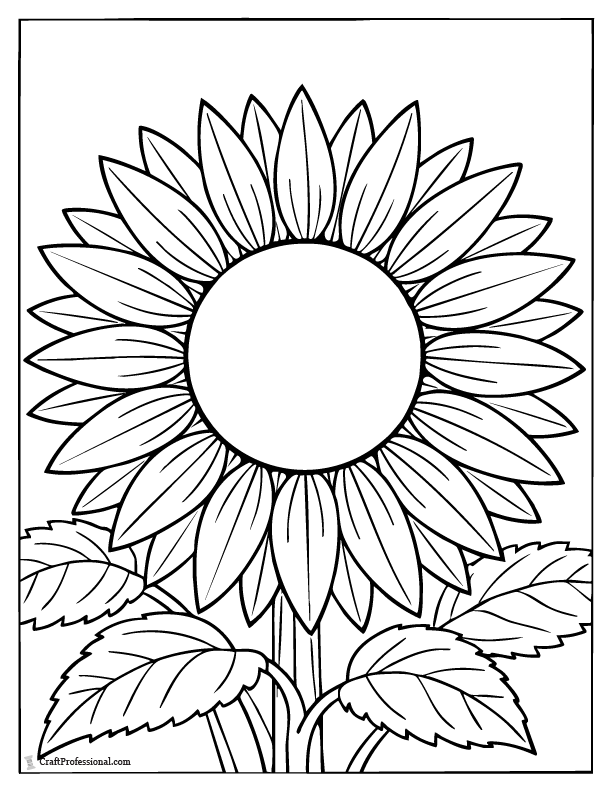 Detailed sunflower coloring page with textured seed center and pointed petals.