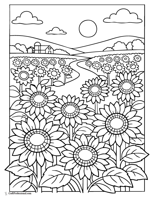Sunflower field coloring page with flowers at different heights.