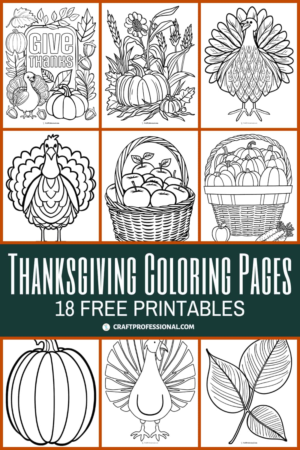 Coloring Turkey Feathers Activity - Sheeking Out