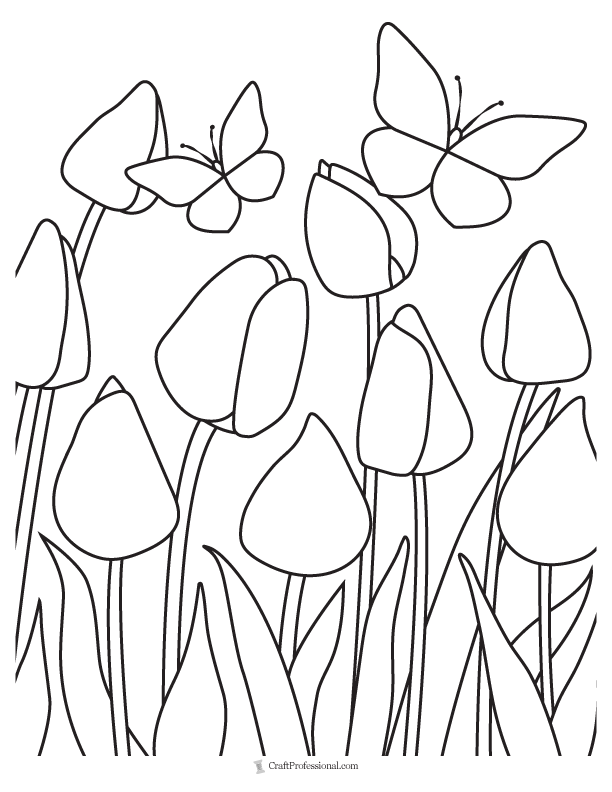butterflies and tulips in a garden  coloring sheet