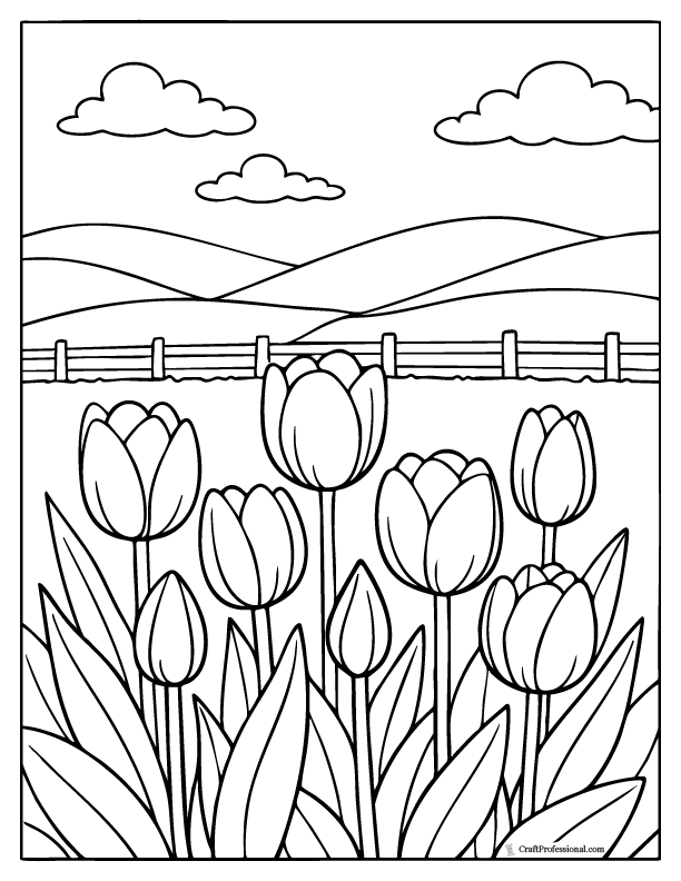 Tulip field coloring page with multiple tulips and rolling hills background.