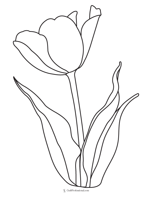 single, simple tulip to color