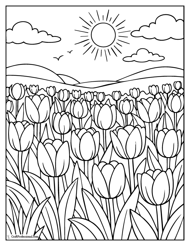 Tulips in a field coloring page with multiple blooms.