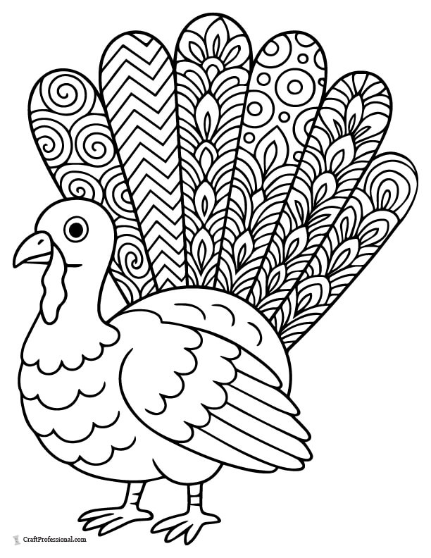 Turkey with patterned tail feathers coloring page