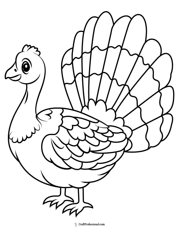 Turkey with feathers to color