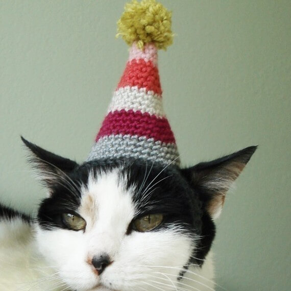 Cat birthday hat pattern by xmoonbloom